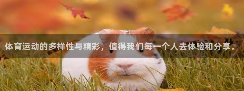 JJB竞技宝官网下载招商电话号码是多少：体育运动的多