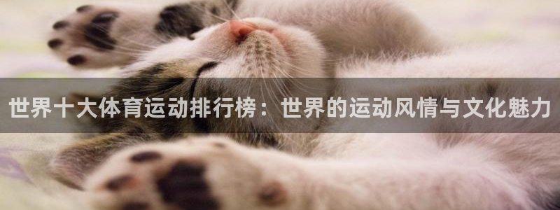 JJB竞技宝官网下载平台注册要钱吗是真的吗：世界十大