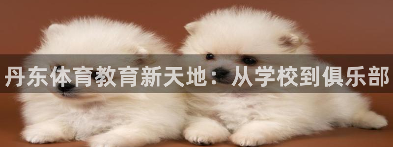 JJB竞技宝官网下载招商电话号码查询：丹东体育教育新