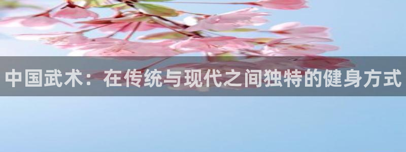 JJB竞技宝官网下载娱乐：中国武术：在传统与现代之间