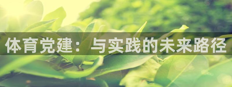 JJB竞技宝官网下载招商电话：体育党建：与实践的未来