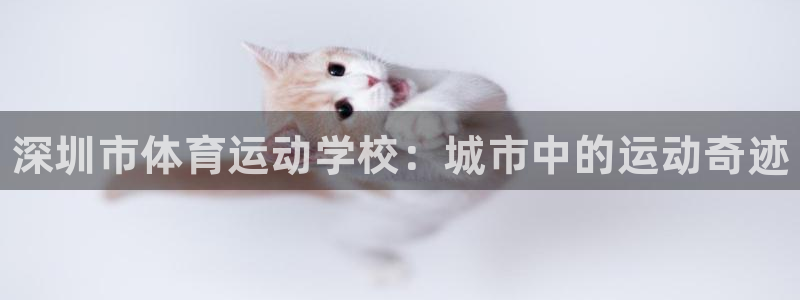 JJB竞技宝官网下载平台注册要钱吗是真的吗：深圳市体