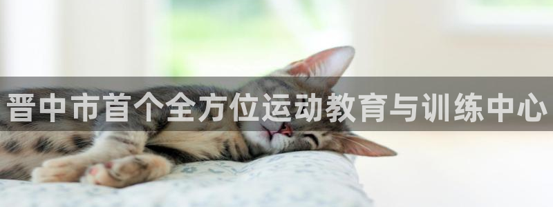 JJB竞技宝官方正版app五金厂：晋中市首个全方位运