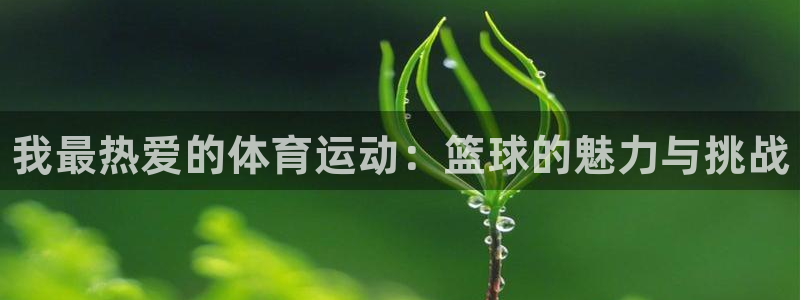 JJB竞技宝官网下载开户：我最热爱的体育运动：篮球的