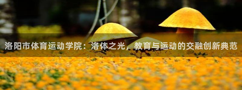 JJB竞技宝官网下载平台注册要钱吗安全吗：洛阳市体育
