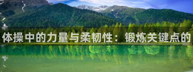 JJB竞技宝官方正版app娱乐平台：体操中的力量与柔韧性：锻