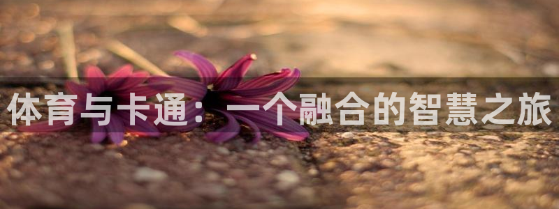 JJB竞技宝官方正版app五金厂：体育与卡通：一个融合的智慧