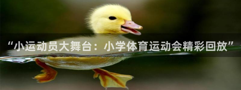 JJB竞技宝官网下载：“小运动员大舞台：小学体育运动会精彩回