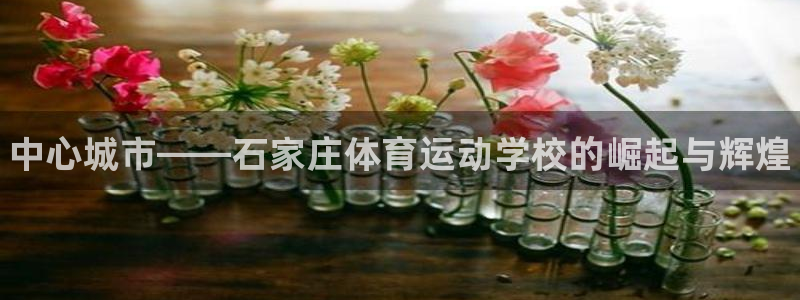 JJB竞技宝官网下载招商电话是多少啊：中心城市——石家庄体育