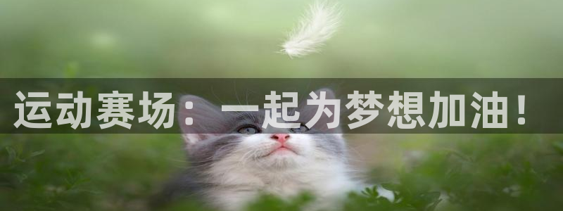 JJB竞技宝官方正版app神州：运动赛场：一起为梦想