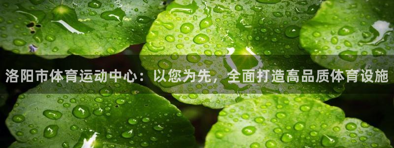 JJB竞技宝官网下载平台是正规平台吗：洛阳市体育运动