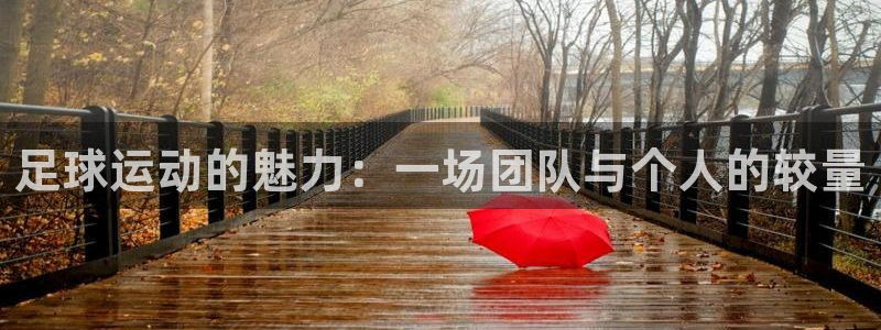 德国JJB竞技宝官方正版app集团：足球运动的魅力：一场团队