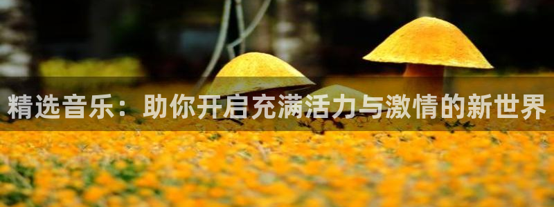 海南JJB竞技宝官网下载发展怎么样