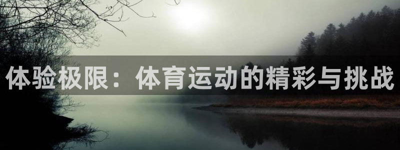 JJB竞技宝官方正版app集团简介：体验极限：体育运动的精彩