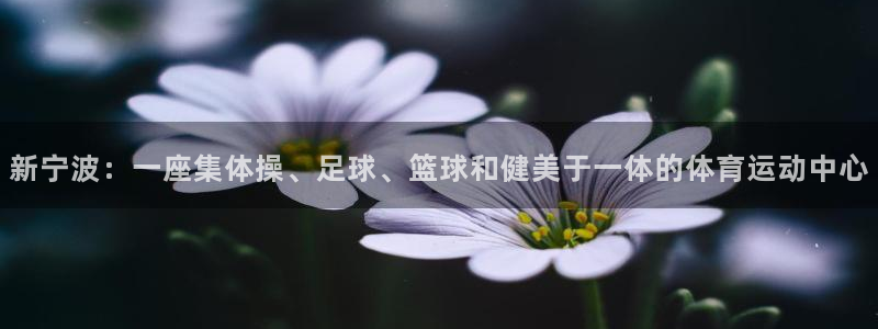 JJB竞技宝官网下载注册