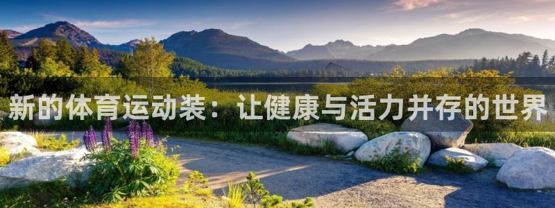 JJB竞技宝官网下载平台注册要钱吗是真的吗：新的体育运动装：